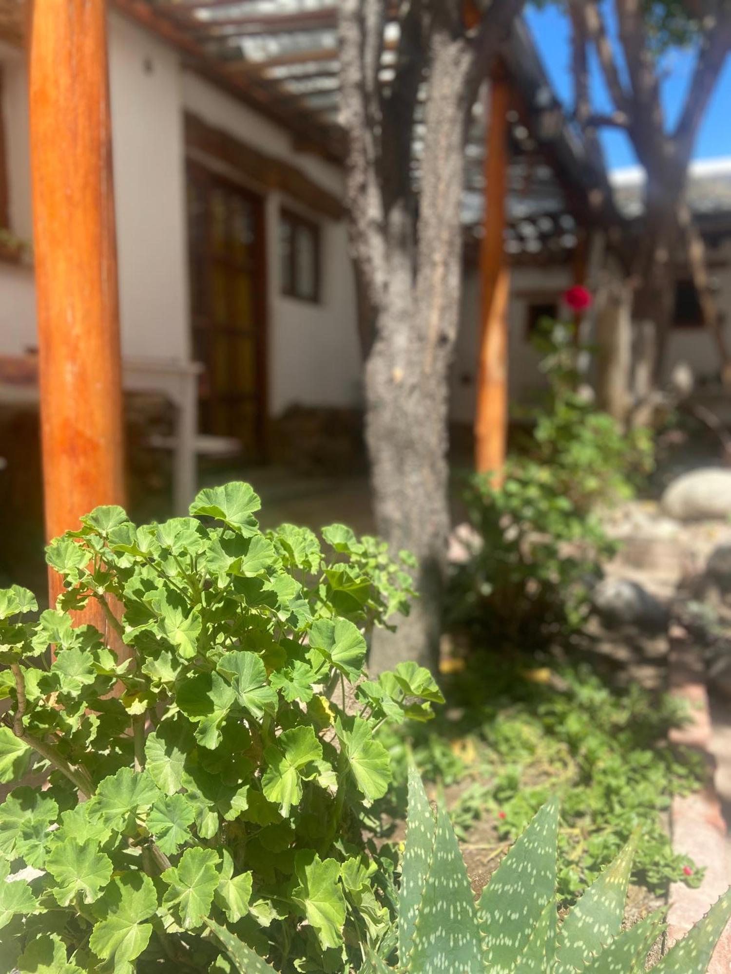 Hostal Tierra Andina Cafayate Bagian luar foto
